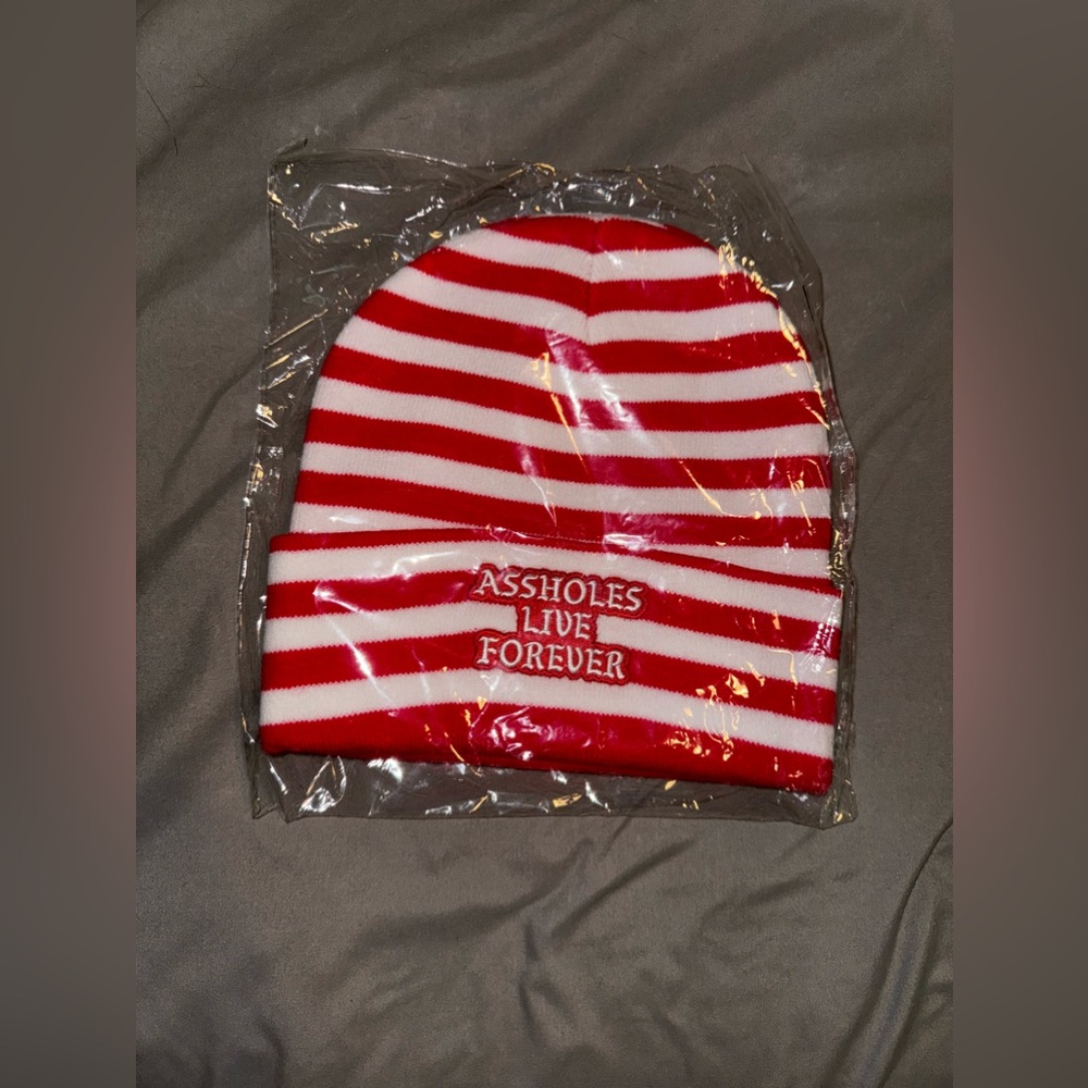 Assholes live forever beanie
